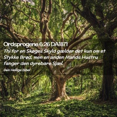 Picture 02 - Ordsprogene 6:26 DA1871 - Thi for en Skøges Skyld gælder det kun om et - Bible Verse Picture
