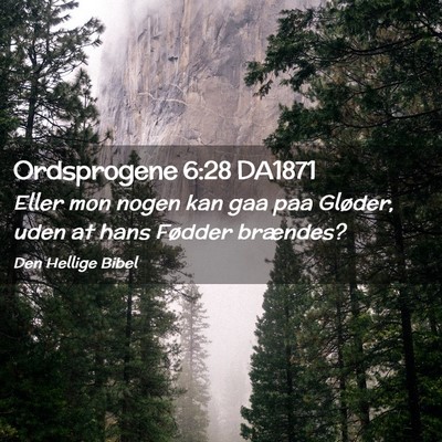 Picture 02 - Ordsprogene 6:28 DA1871 - Eller mon nogen kan gaa paa Gløder, uden at hans - Bible Verse Picture