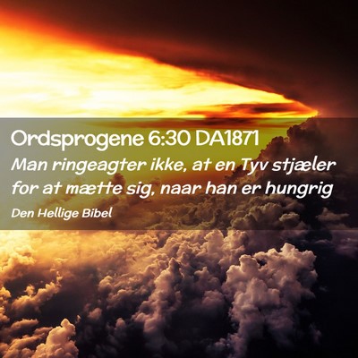 Picture 02 - Ordsprogene 6:30 DA1871 - Man ringeagter ikke, at en Tyv stjæler for at - Bible Verse Picture