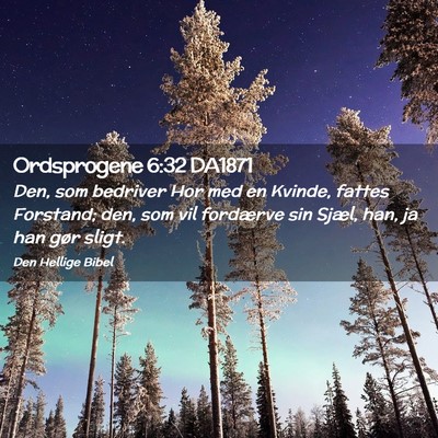 Picture 02 - Ordsprogene 6:32 DA1871 - Den, som bedriver Hor med en Kvinde, fattes - Bible Verse Picture
