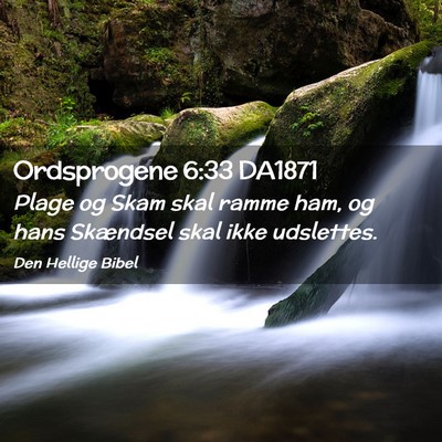 Picture 02 - Ordsprogene 6:33 DA1871 - Plage og Skam skal ramme ham, og hans Skændsel - Bible Verse Picture