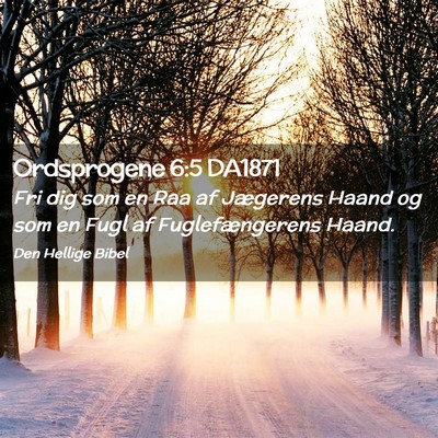 Picture 02 - Ordsprogene 6:5 DA1871 - Fri dig som en Raa af Jægerens Haand og som en - Bible Verse Picture