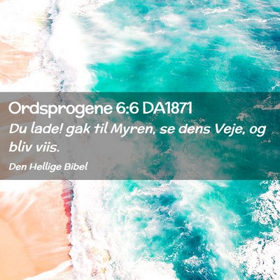 Picture 02 - Ordsprogene 6:6 DA1871 - Du lade! gak til Myren, se dens Veje, og bliv - Bible Verse Picture