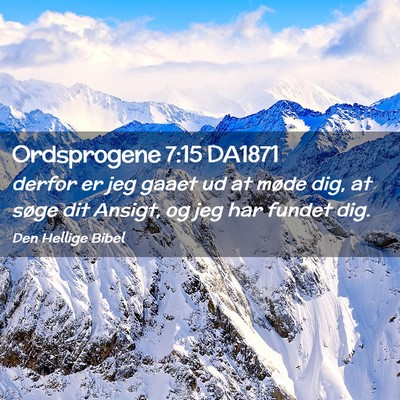 Picture 02 - Ordsprogene 7:15 DA1871 - derfor er jeg gaaet ud at møde dig, at søge dit - Bible Verse Picture