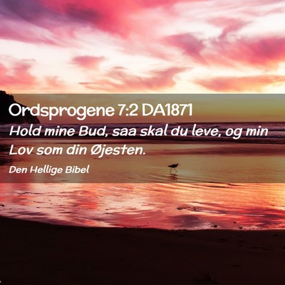 Picture 02 - Ordsprogene 7:2 DA1871 - Hold mine Bud, saa skal du leve, og min Lov som - Bible Verse Picture