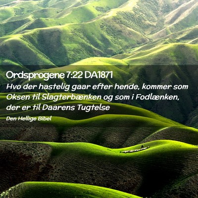 Picture 02 - Ordsprogene 7:22 DA1871 - Hvo der hastelig gaar efter hende, kommer som - Bible Verse Picture