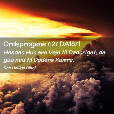 Picture 02 - Ordsprogene 7:27 DA1871 - Hendes Hus ere Veje til Dødsriget; de gaa ned - Bible Verse Picture