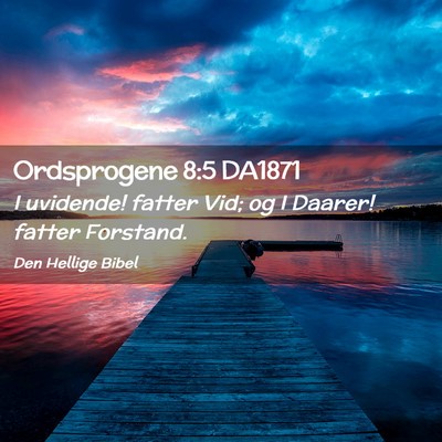 Picture 02 - Ordsprogene 8:5 DA1871 - I uvidende! fatter Vid; og I Daarer! fatter - Bible Verse Picture