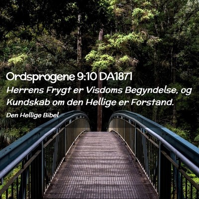 Picture 02 - Ordsprogene 9:10 DA1871 - Herrens Frygt er Visdoms Begyndelse, og Kundskab - Bible Verse Picture