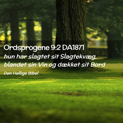 Picture 02 - Ordsprogene 9:2 DA1871 - hun har slagtet sit Slagtekvæg, blandet sin Vin - Bible Verse Picture