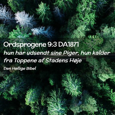 Picture 02 - Ordsprogene 9:3 DA1871 - hun har udsendt sine Piger, hun kalder fra - Bible Verse Picture