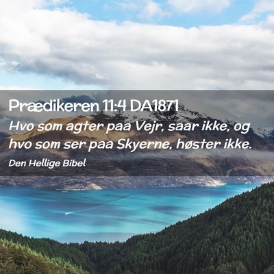 Picture 02 - Prædikeren 11:4 DA1871 - Hvo som agter paa Vejr, saar ikke, og hvo som ser - Bible Verse Picture