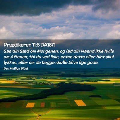 Picture 02 - Prædikeren 11:6 DA1871 - Saa din Sæd om Morgenen, og lad din Haand ikke - Bible Verse Picture
