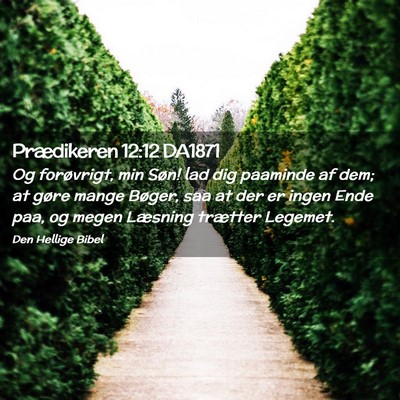 Picture 02 - Prædikeren 12:12 DA1871 - Og forøvrigt, min Søn! lad dig paaminde af dem; - Bible Verse Picture