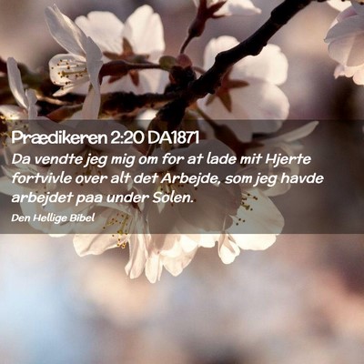 Picture 02 - Prædikeren 2:20 DA1871 - Da vendte jeg mig om for at lade mit Hjerte - Bible Verse Picture