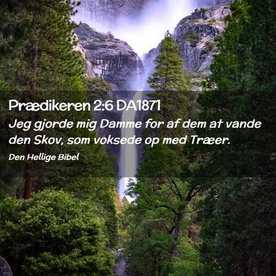 Picture 02 - Prædikeren 2:6 DA1871 - Jeg gjorde mig Damme for af dem at vande den - Bible Verse Picture