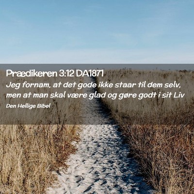 Picture 02 - Prædikeren 3:12 DA1871 - Jeg fornam, at det gode ikke staar til dem selv, - Bible Verse Picture