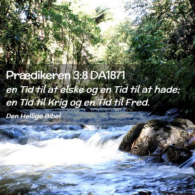 Picture 02 - Prædikeren 3:8 DA1871 - en Tid til at elske og en Tid til at hade; en Tid - Bible Verse Picture