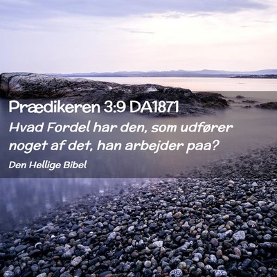 Picture 02 - Prædikeren 3:9 DA1871 - Hvad Fordel har den, som udfører noget af det, - Bible Verse Picture