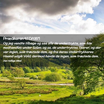Picture 02 - Prædikeren 4:1 DA1871 - Og jeg vendte tilbage og saa alle de undertrykte, - Bible Verse Picture