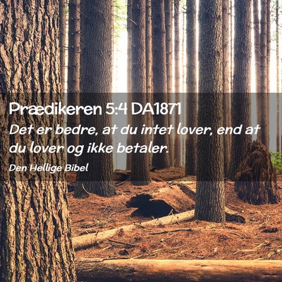 Picture 02 - Prædikeren 5:4 DA1871 - Det er bedre, at du intet lover, end at du lover - Bible Verse Picture