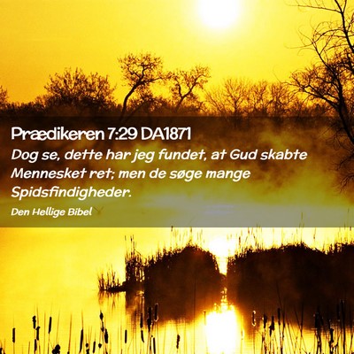 Picture 02 - Prædikeren 7:29 DA1871 - Dog se, dette har jeg fundet, at Gud skabte - Bible Verse Picture