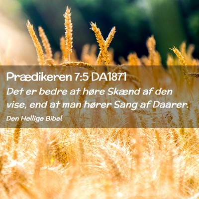 Picture 02 - Prædikeren 7:5 DA1871 - Det er bedre at høre Skænd af den vise, end at - Bible Verse Picture