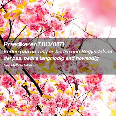 Picture 02 - Prædikeren 7:8 DA1871 - Enden paa en Ting er bedre end Begyndelsen - Bible Verse Picture