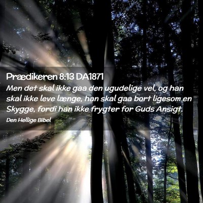 Picture 02 - Prædikeren 8:13 DA1871 - Men det skal ikke gaa den ugudelige vel, og han - Bible Verse Picture