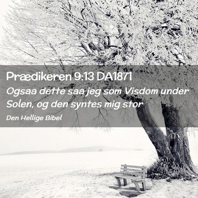 Picture 02 - Prædikeren 9:13 DA1871 - Ogsaa dette saa jeg som Visdom under Solen, og - Bible Verse Picture