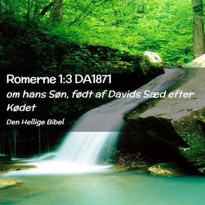 Picture 02 - Romerne 1:3 DA1871 - om hans Søn, født af Davids Sæd efter - Bible Verse Picture