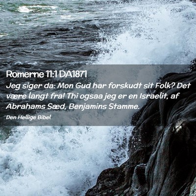 Picture 02 - Romerne 11:1 DA1871 - Jeg siger da: Mon Gud har forskudt sit Folk? Det - Bible Verse Picture