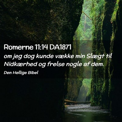 Picture 02 - Romerne 11:14 DA1871 - om jeg dog kunde vække min Slægt til Nidkærhed - Bible Verse Picture
