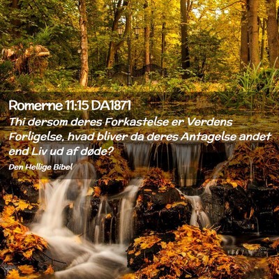 Picture 02 - Romerne 11:15 DA1871 - Thi dersom deres Forkastelse er Verdens - Bible Verse Picture