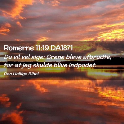Picture 02 - Romerne 11:19 DA1871 - Du vil vel sige: Grene bleve afbrudte, for at jeg - Bible Verse Picture