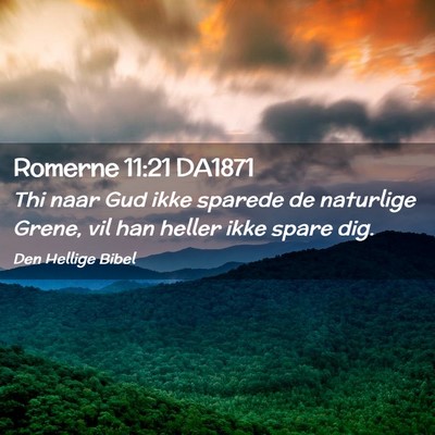 Picture 02 - Romerne 11:21 DA1871 - Thi naar Gud ikke sparede de naturlige Grene, vil - Bible Verse Picture