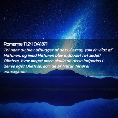 Picture 02 - Romerne 11:24 DA1871 - Thi naar du blev afhugget af det Olietræ, som er - Bible Verse Picture