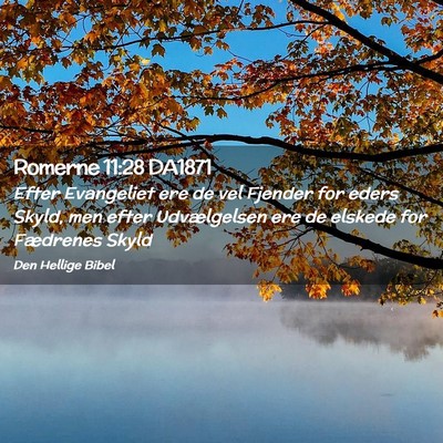 Picture 02 - Romerne 11:28 DA1871 - Efter Evangeliet ere de vel Fjender for eders - Bible Verse Picture