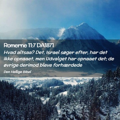 Picture 02 - Romerne 11:7 DA1871 - Hvad altsaa? Det, Israel søger efter, har det - Bible Verse Picture
