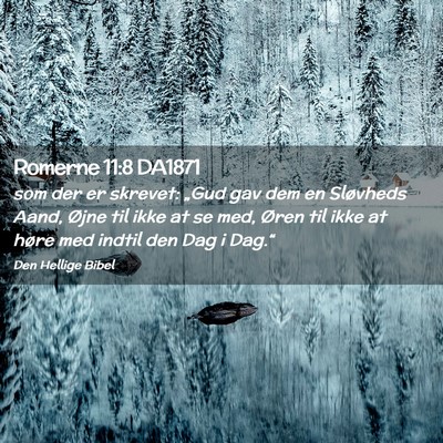 Picture 02 - Romerne 11:8 DA1871 - som der er skrevet: „Gud gav dem en Sløvheds - Bible Verse Picture
