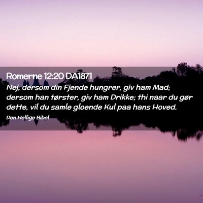Picture 02 - Romerne 12:20 DA1871 - Nej, dersom din Fjende hungrer, giv ham Mad; - Bible Verse Picture