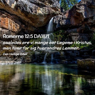 Picture 02 - Romerne 12:5 DA1871 - saaledes ere vi mange eet Legeme i Kristus, men - Bible Verse Picture