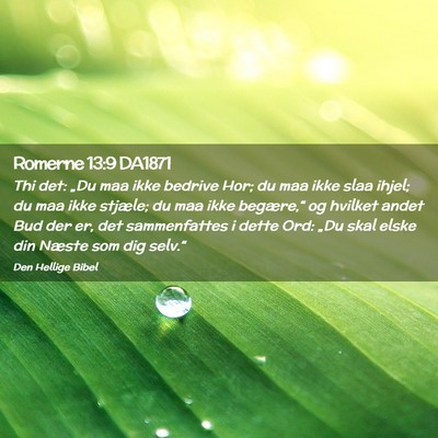 Picture 02 - Romerne 13:9 DA1871 - Thi det: „Du maa ikke bedrive Hor; du maa ikke - Bible Verse Picture