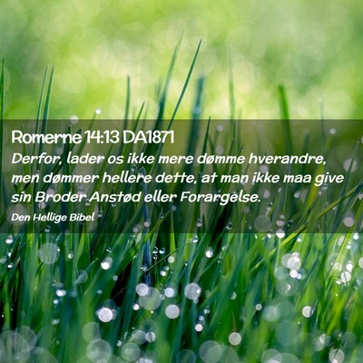 Picture 02 - Romerne 14:13 DA1871 - Derfor, lader os ikke mere dømme hverandre, men - Bible Verse Picture