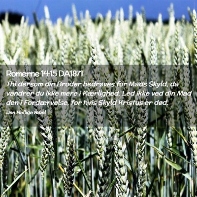Picture 02 - Romerne 14:15 DA1871 - Thi dersom din Broder bedrøves for Mads Skyld, - Bible Verse Picture