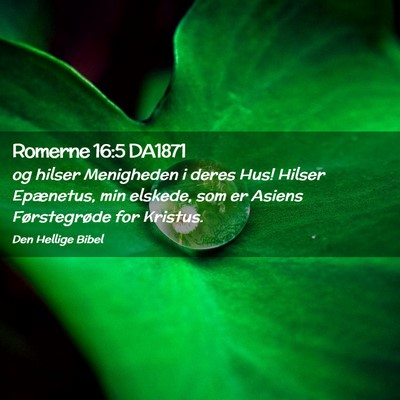 Picture 02 - Romerne 16:5 DA1871 - og hilser Menigheden i deres Hus! Hilser - Bible Verse Picture