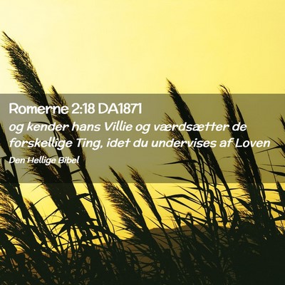Picture 02 - Romerne 2:18 DA1871 - og kender hans Villie og værdsætter de - Bible Verse Picture