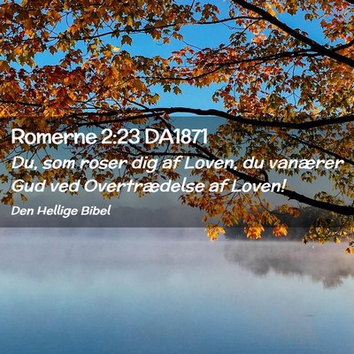 Picture 02 - Romerne 2:23 DA1871 - Du, som roser dig af Loven, du vanærer Gud ved - Bible Verse Picture