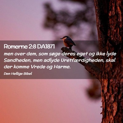 Picture 02 - Romerne 2:8 DA1871 - men over dem, som søge deres eget og ikke lyde - Bible Verse Picture