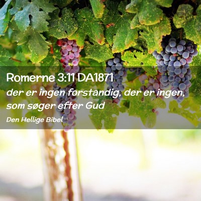 Picture 02 - Romerne 3:11 DA1871 - der er ingen forstandig, der er ingen, som søger - Bible Verse Picture